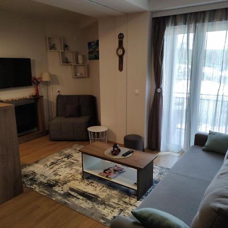 Avantura Studio 1 Zlatibor Dış mekan fotoğraf