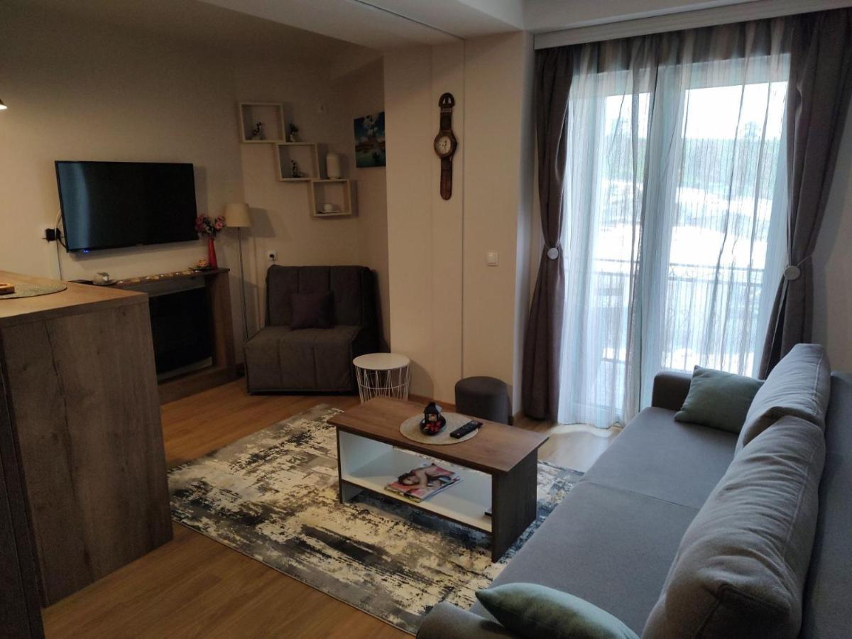 Avantura Studio 1 Zlatibor Dış mekan fotoğraf